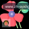 爱游戏体育 logo